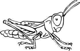 Over the past years, we've created a ton of printable coloring pages for kids. Insect Coloring Pages Best Coloring Pages For Kids