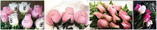 Order within 4 hours details. The 8 Best Options For Flower Delivery In Fargo North Dakota 2021