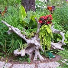 Diy Coastal Garden Ideas Coastal Gardens Driftwood Planters Garden