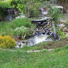 We did not find results for: List Of Plants To Hide Cover Pond Liners 2021 Updated Pond Informer