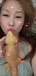 Bearded Dragon Owners Sharing Pictures and Stories