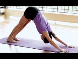 How To Do Surya Namaskar Step By Step In Kannada Youtube