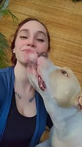 Pit bulls are really oversized teddy bears. 🥰 #Dogs #PitBulls #Love #Pets  #dogsofinstagram