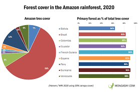 The amazon shopping app lets you shop millions of products and manage your amazon orders from anywhere. The Amazon Rainforest
