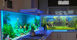 flipboard stories from 28,875 topics