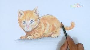 Cara menggambar kucing lucu sederhana how to draw a cat easy youtube. Kucing Imut Dan Lucu Menggambar Dan Mewarnai Kucing Drawing Coloring A Cute Cat Youtube