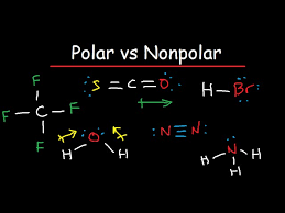 Bir molekülün üzerindeki yük dağılımın simetrik olmaması demektir. Polar And Nonpolar Molecules Is It Polar Or Nonpolar Youtube