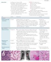 There are more than 100 different types of cancer. Most Common Lung Cancer In Smokers Usmle Cancerwalls