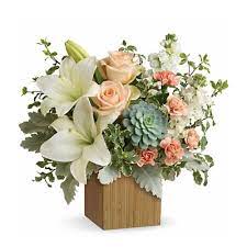 Maybe you would like to learn more about one of these? St Paul Florists Minneapolis Flowers A Johnson Sons Florist