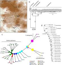 Not sure if the information provided in the webs updated. Map Of The Cameron Highlands Plateau And Adjacent Peaks The Distances Download Scientific Diagram