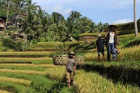 How CSR is churning economic freedom for rural women