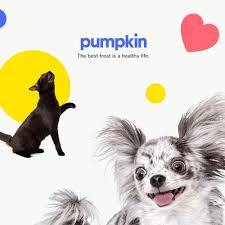 Many companies featured on money advertise with us. Pumpkin Petcare Insurance Goldsboro Nc Eastwaye Veterinary Clinic
