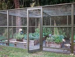 Birdies Raised Garden Beds Instructions Netted Garden Lets Insects In And Stops Animals From Eating Plants Raised Beds No Wider Than 4 Feet Raised Garden Raised Garden Beds Dream Garden