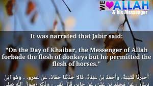 Now, some scholars have given fatwas that bitcoin is haram and others say bitcoin is halal. Daily Hadith 723 Horse Meat Halal Or Haram Youtube