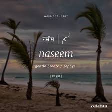Word Of The Day Urdupoetrylovers Urdupoetry Urdu Urdurekhta Shayari Shayar Rekhta Imagepoetry In Hindi Words Urdu Words With Meaning Word Of The Day