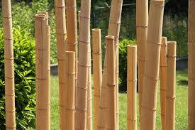 We did not find results for: Sichtschutz Im Garten 22 Raffinierte Ideen Anregungen