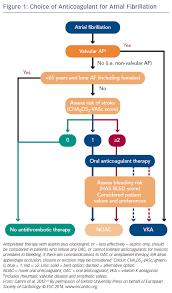 Image result for Anticoagulation