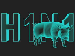 Resultado de imagem para H1N1