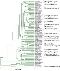 Image result for Telechrysis tripuncta