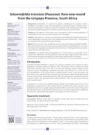 Image result for Schoenefeldia transiens