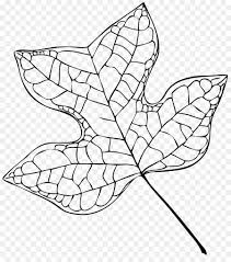 Download mp3 hitam putih fotomu gratis, ada 20 daftar lagu hitam putih fotomu yang bisa anda download. Pohon Tulip Daun Pohon Gambar Png