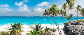 Image result for Medium Water Blue 1991 Monaco