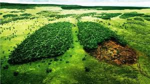 Todas las noticias sobre día medio ambiente publicadas en el país. 5 Tips Para Celebrar El Dia Mundial Del Medio Ambiente Urna De Cristal
