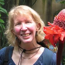 Harlequin Happenings