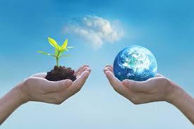 La giornata mondiale per l'ambiente 2020 è dedicata al tema del drammatico declino della biodiversità del pianeta. Scmho5wntti4vm