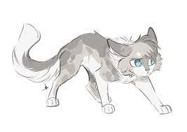 ~ welcome to the warrior cats: Wojownicy Rp Warrior Cats Fan Art Warrior Cats Art Warrior Cat Oc