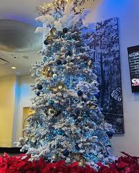 Christmas decorations going up this week!