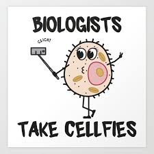 A joke exploiting the different possible meanings of a word or the fact that there are words that. Funny Biology Usernames