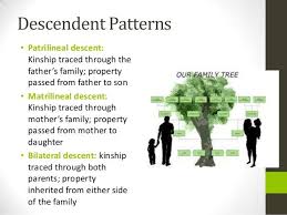 Sociology Unit 4 Social Institutions Power Point 11 638 Jpg 638 479 Social Institution Sociology Kinship