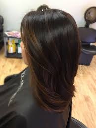 Black And Dark Brown Balayage Pin On Hair