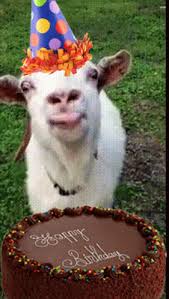 Happy Birthday Birthday Cake Gif Happybirthday Birthdaycake Goat Discover Share Gifs Funny Happy Birthday Gif Happy Birthday Goat Birthday Cake Gif