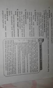 Contoh surat dinas bahasa inggris. Sebut Dan Jelaskan Struktur Surat Dinas Brainly Co Id