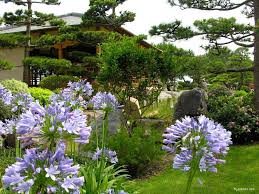 Se encuentra junto al centro de convenciones foro grimaldi (grimaldi forum). Jardin Japonais De Monaco