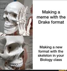 Making A Meme With The Drake Format Making A New Format With The Skeleton In Your Biology Class Ifunny Memes Class Memes Funny Memes