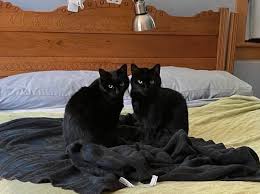 Contributions to the tribute of Frederick Otis Fitzgerald, Jr.