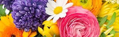 View listing photos, review sales history, and use our detailed real estate filters to find the perfect place. Peoria Il Florists Flowers Peoria Il Georgette S Flowers