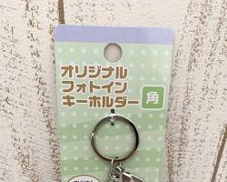 ダイソー 動物型キーリングの画像