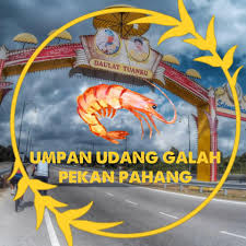 Semoga dapat membantu dan juga bermanfaat, selamat memancing. Umpan Udang Galah Added A New Photo Umpan Udang Galah