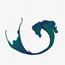 Mermaid Tail 07 Beauty Fish Tail Png Transparent Clipart Image And Psd File For Free Download Mermaid Tail Mermaid Clipart Images