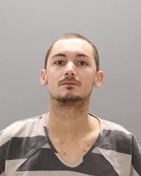 NESBIT, CHRISTOPHER Charge: DOMESTIC ASSAULT