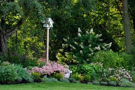 Check spelling or type a new query. How To Start A Garden 10 Tips For Beginners Houzz