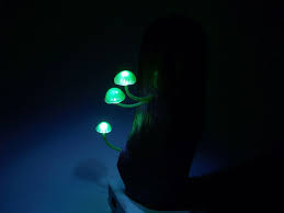 Yukio Takano Mantar Buyuk Mantarlanma Led Isik Lamba Dekor Tasarim 4 Led Mantar Aydinlatmalar