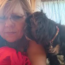 Shorkie growls at young children, advice needed?