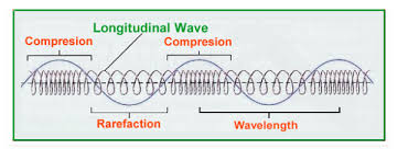 Here is a brief video. 10 Differences Between Longitudinal And Transverse Waves With Examples Similarities Viva Differences