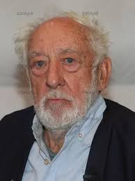 Schauspieler Michael Bradner bei der 8.Hamburg-Berlin-Klassik 2015  Etappenziel Autostadt Wolfsburg Buy Images