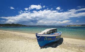 Check spelling or type a new query. Ammoylianh